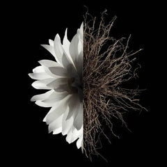 GIVENCHY L'interdit eau de parfum GIVENCHY