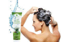 forever aloe jojoba shampoo benefits 296ml Makushop