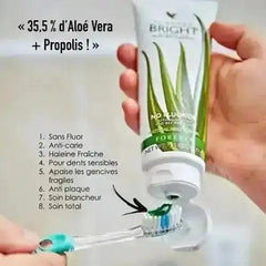 Bright Forever Aloe Vera - Makushop