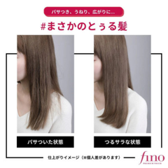 Shiseido Fino Mask hair Premium Touch